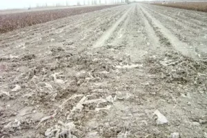 广东农膜、地膜等塑料垃圾处理用什么撕碎机设备？