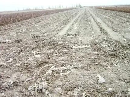 广东农膜、地膜等塑料垃圾处理用什么撕碎机设备？