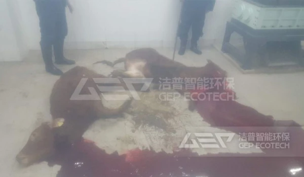 病死牲畜粉碎机：生物安全和废弃物管理的重要工具