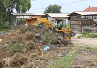 冬季，枯枝落叶巧处置