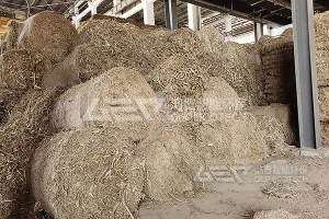 生物质耦合掺烧的意义