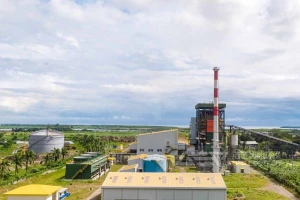 不同技术路线生物质发电投资经济性分析