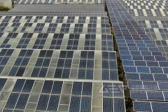 旧太阳能电池板撕碎机有哪些类型？多少钱一台