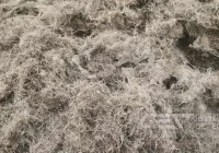 棕榈纤维丝粉碎机为棕榈废料回收助力