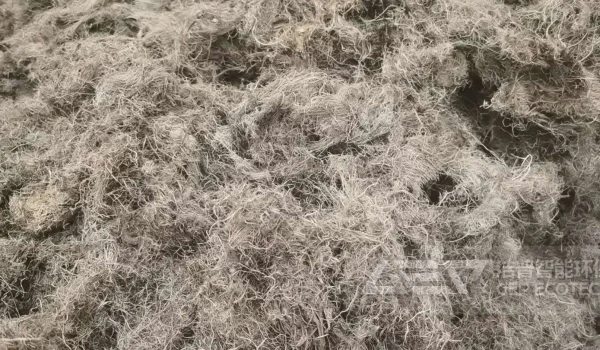 棕榈纤维丝粉碎机为棕榈废料回收助力