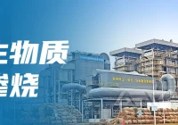 生物质掺烧：绿色能源转型的路径探索与挑战应对