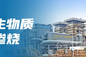 生物质掺烧：绿色能源转型的路径探索与挑战应对