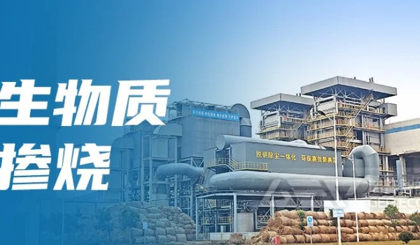 生物质掺烧：绿色能源转型的路径探索与挑战应对