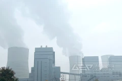 燃煤厂降碳减排，生物质掺烧刻不容缓