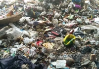 城市生活垃圾粉碎处理需要哪些设备？价格贵吗