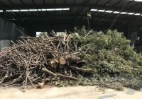 园林垃圾的几种处理方式