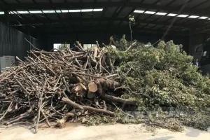 园林垃圾的几种处理方式