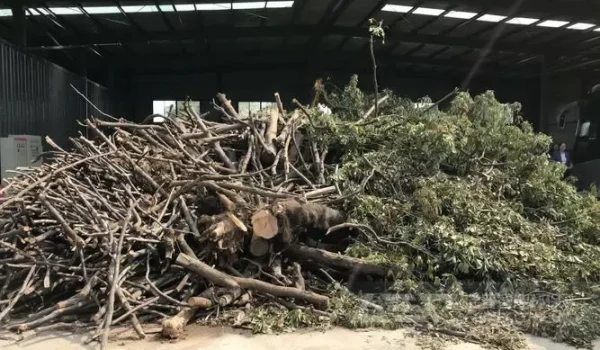 园林垃圾的几种处理方式