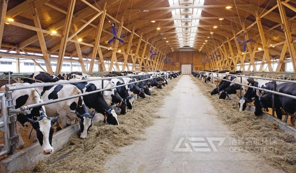 家畜破碎机有哪些需要特别注意的地方