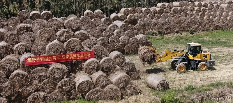 生物质秸秆原料
