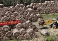 电厂生物质秸秆入炉前预破碎用哪种破碎机？