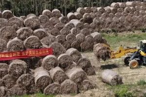电厂生物质秸秆入炉前预破碎用哪种破碎机？