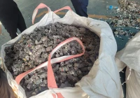 小成本大效益：洁普新型细碎机助力建筑装修轻抛物资源化处置