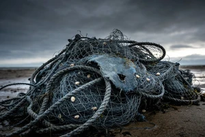 提升效率，降低成本：洁普环保平推细碎机为渔网回收带来新突破