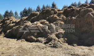 东北农林生物质热电联产项目