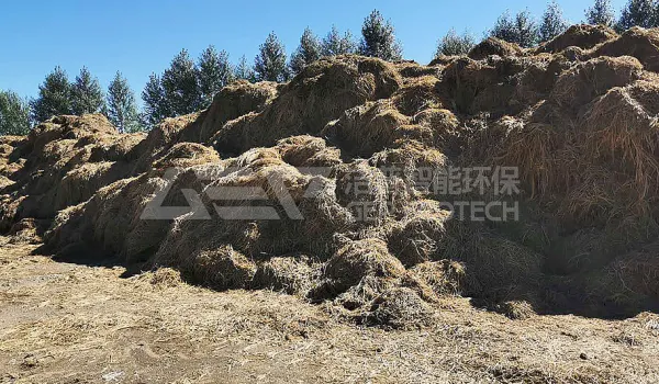 东北农林生物质热电联产项目