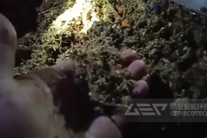 为黑水虻（BSF）项目设计的有机垃圾预处理生产线