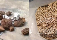 发电厂掺烧生物质什么比例最合适？