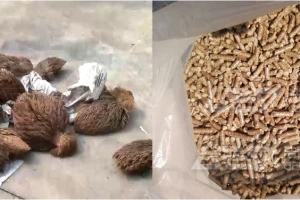 发电厂掺烧生物质什么比例最合适？
