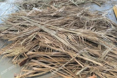 选对预处理设备=绿氢项目成功一半！洁普定制方案适配全品类原料