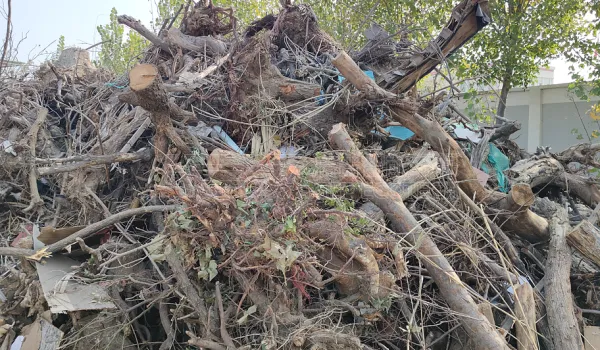 华北地区园林垃圾破碎处置项目