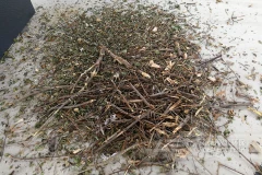 生物质替代燃料来源有哪些？