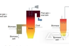 火力发电厂煤炭与生物质掺烧：技术方案、影响和未来前景