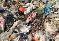 生活垃圾资源化处理系统-让“垃圾变资源”