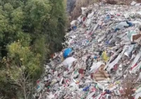 让城市垃圾“重生”