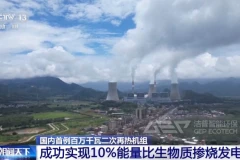 从田间一把火到炉膛一把粉：生物质掺烧的预处理密码