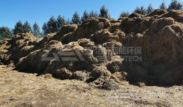 生物质秸秆如何做成替代燃料？